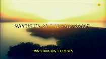 Mysteries Of The Rainforest