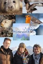 Winterwatch: Season 4