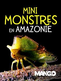 Mini Monsters Of Amazonia