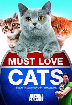Must Love Cats: Season 2