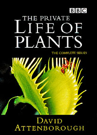 The Private Life Of Plants: Season 1