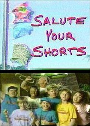 Salute Your Shorts: Season 2