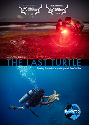 The Last Turtle (short 2019)