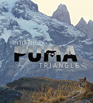 Into The Puma Triangle