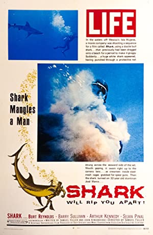 Shark 1969