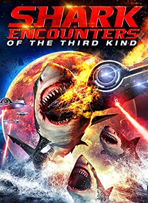 Shark Encounters Of The Third Kind