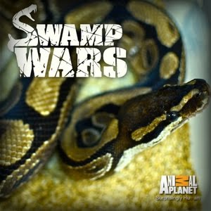 Swamp Wars: Season 2