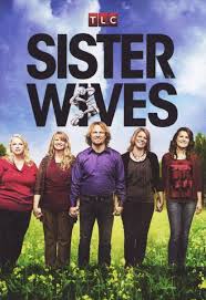 Sister Wives: Season 4